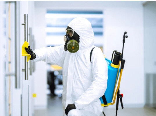 شركه مكافحه حشرات بالاحساء